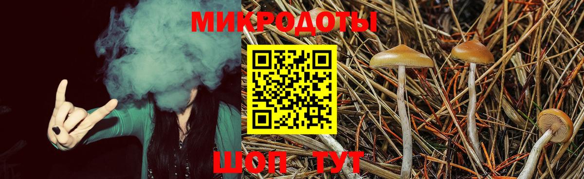 Галлюциногенные грибы прущие грибы Усинск