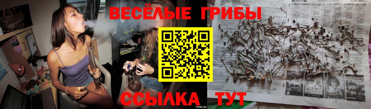 купить наркотики сайты  Галлюциногенные грибы мухоморы  Вход с VPN  Псилоцибиновые грибы Psilocybe  Усинск 